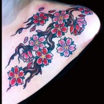 cherryb