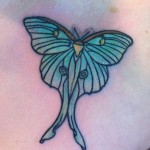 Luna Moth Tattoo done by female tattoo artist Jessi Lawson